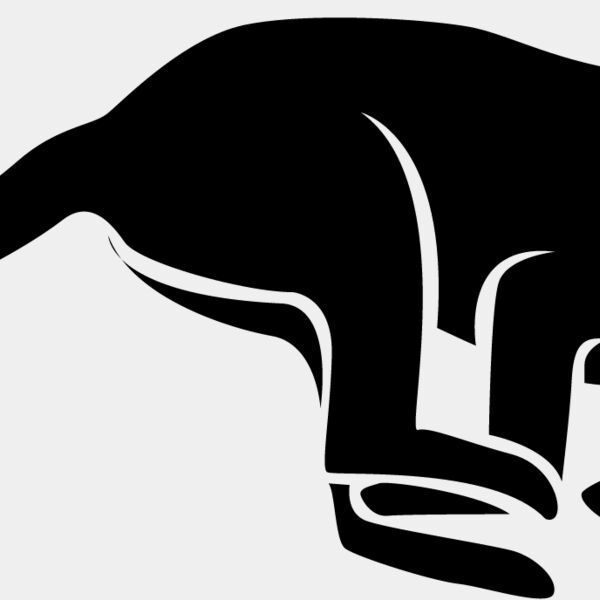 Big Cat  Tiger  Lion  Panther 13 Thumbnail