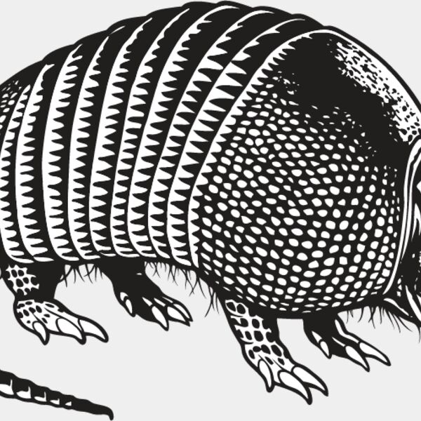 Armadillo2 Thumbnail