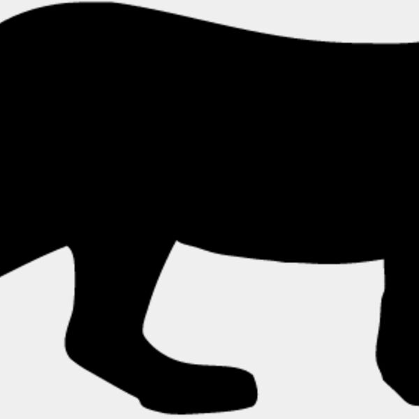 Big Cat  Tiger  Lion  Panther 14 Thumbnail