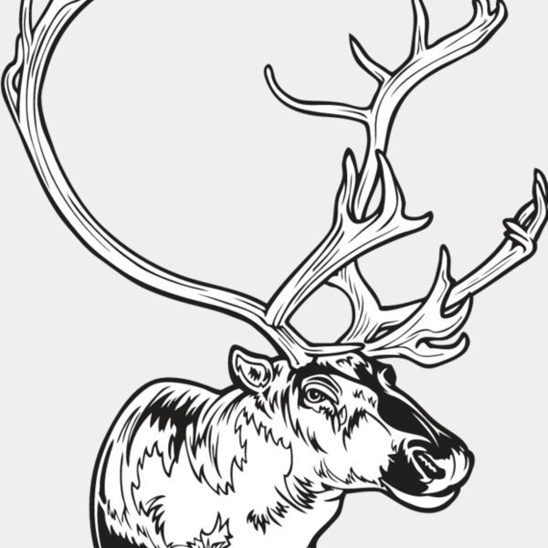 Caribou1 Thumbnail