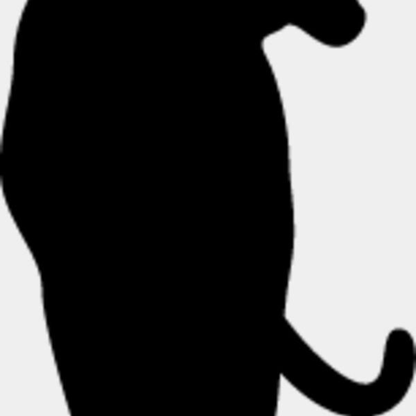 Big Cat  Tiger  Lion  Panther 2 Thumbnail