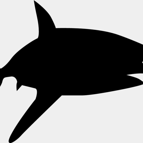 Shark Silhouette11 Thumbnail