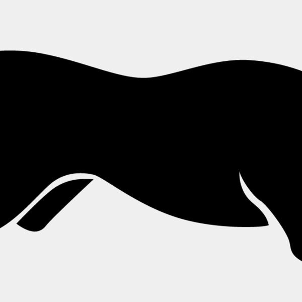 Big Cat  Tiger  Lion  Panther 8 Thumbnail