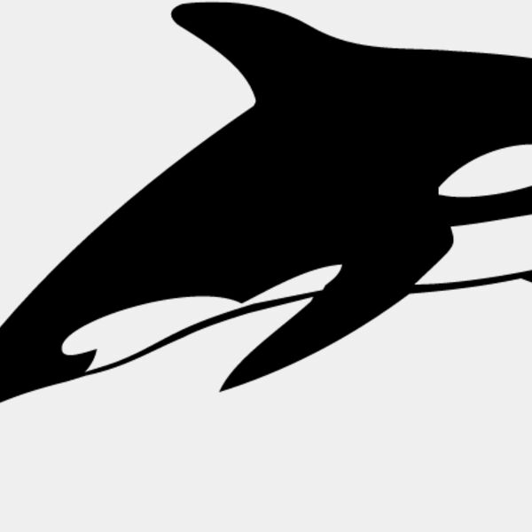 Killer Whale1 Thumbnail