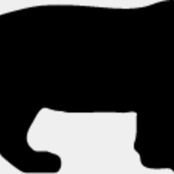 Big Cat  Tiger  Lion  Panther 17 Thumbnail