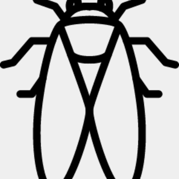 Flying Insect line 2 Thumbnail