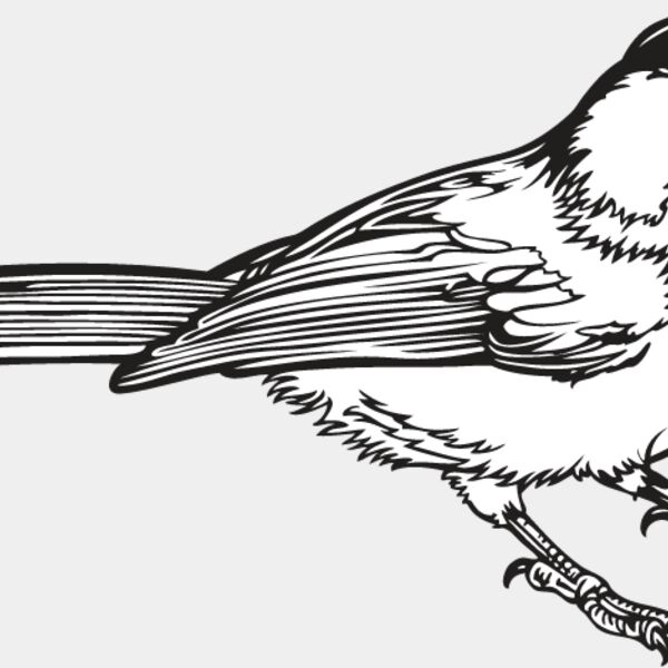 Chickadee Thumbnail