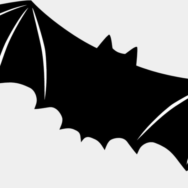 Bat6 Thumbnail