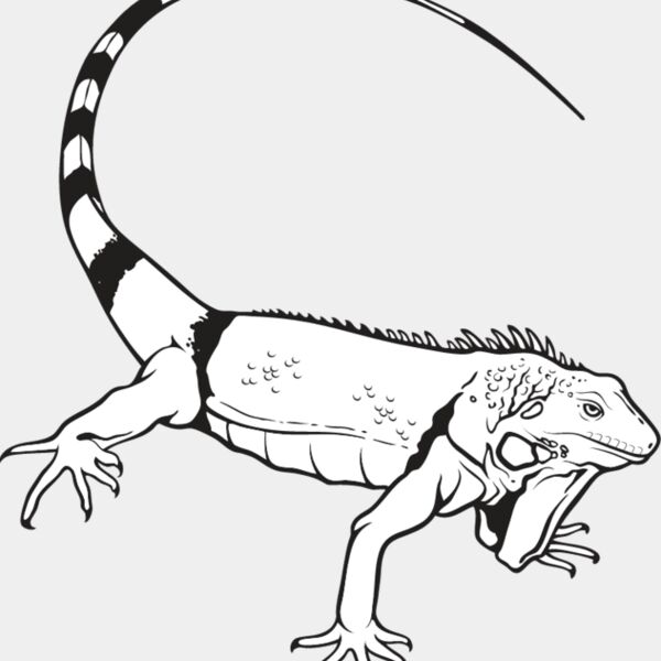 Iguana1 Thumbnail