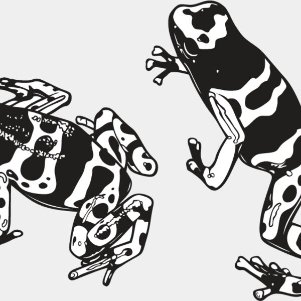 Frogs Thumbnail