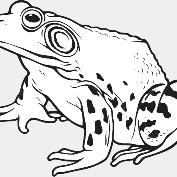 Bullfrog Thumbnail
