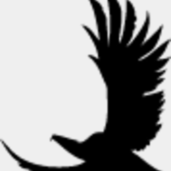 Flying Eagle Silhouette10 Thumbnail