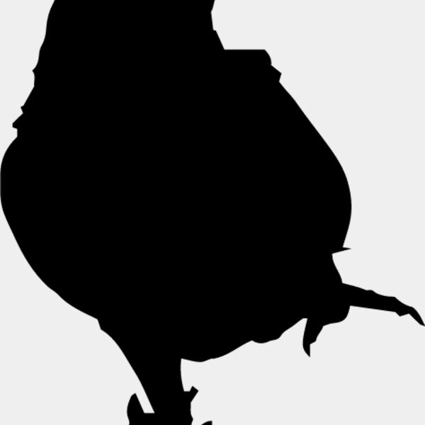 Parrot Silhouette5 Thumbnail