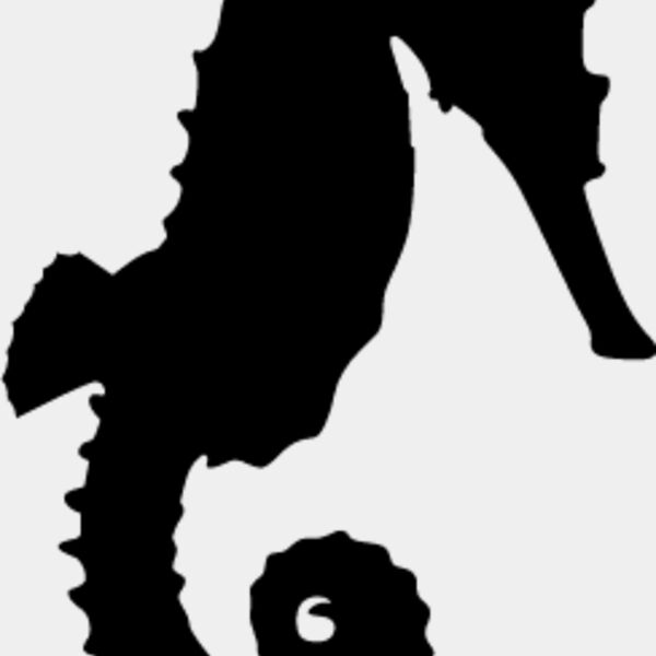 Seahorse4 Thumbnail