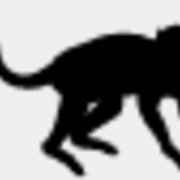 Monkey Silhouette7 Thumbnail