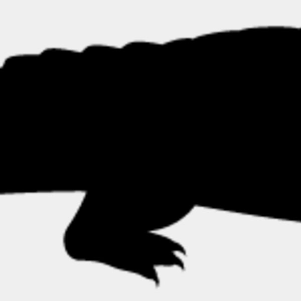 Alligator3 Thumbnail