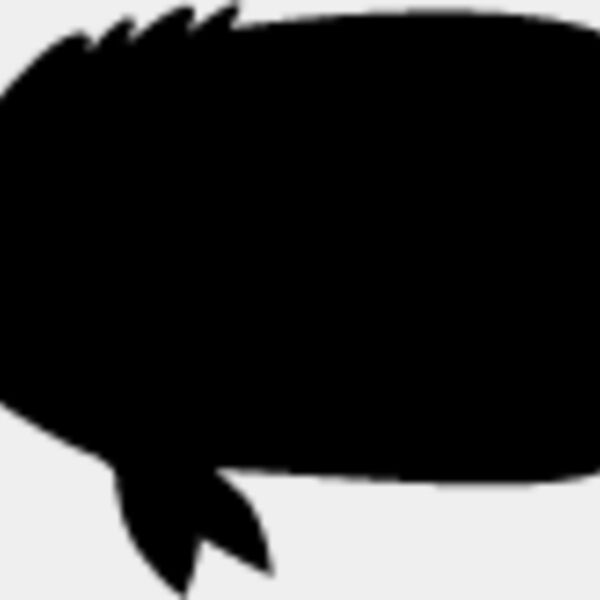 Fish Silhouette6 Thumbnail