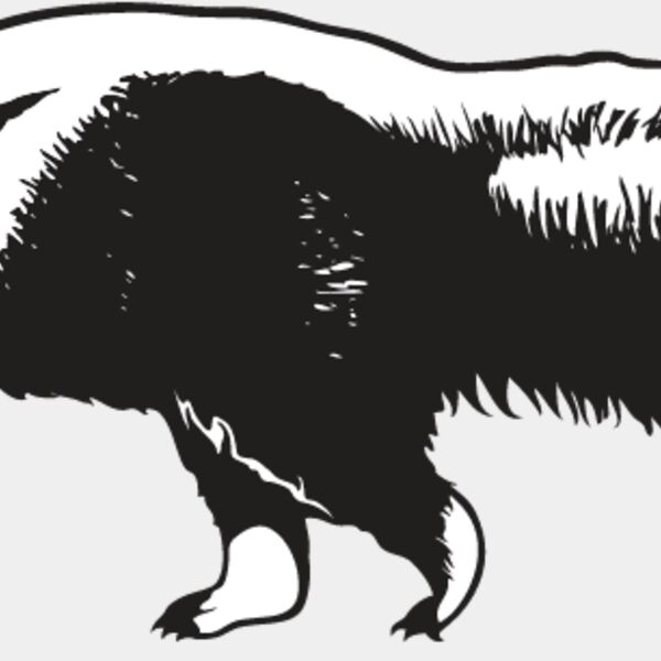 Anteater Thumbnail