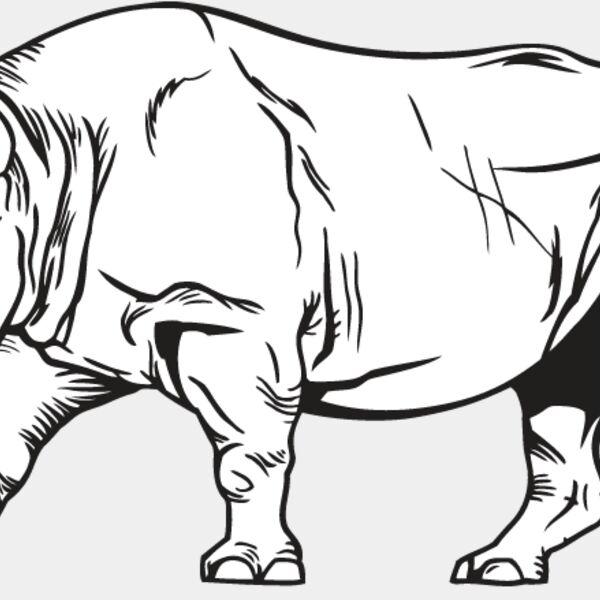 Rhinoceros1 Thumbnail