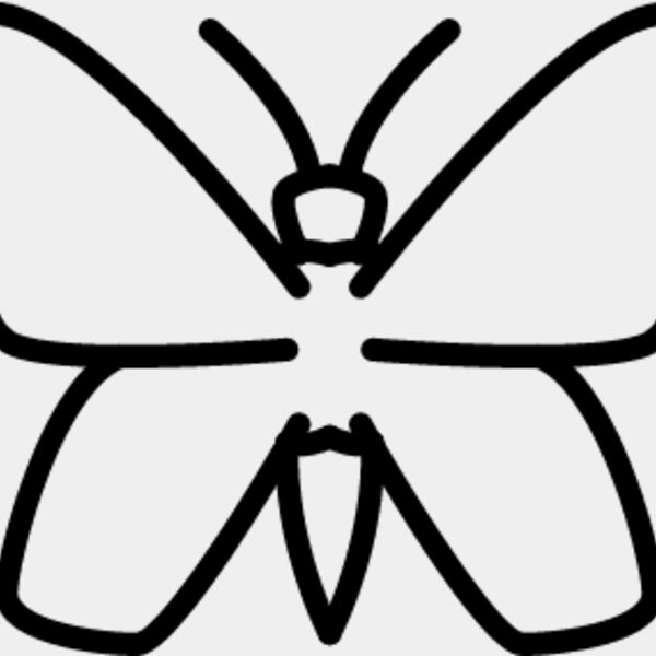 Flying Insect line 3 Thumbnail