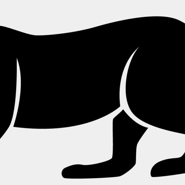 Big Cat  Tiger  Lion  Panther 11 Thumbnail