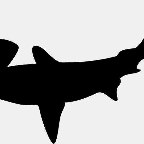 Hammerhead Shark3 Thumbnail