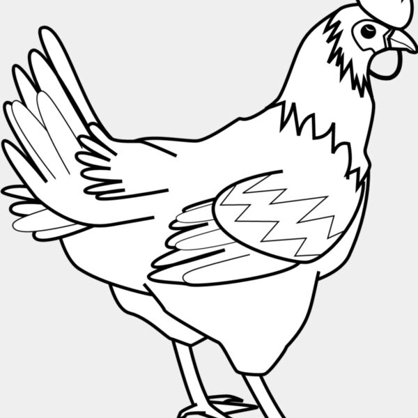 Chicken1 Thumbnail