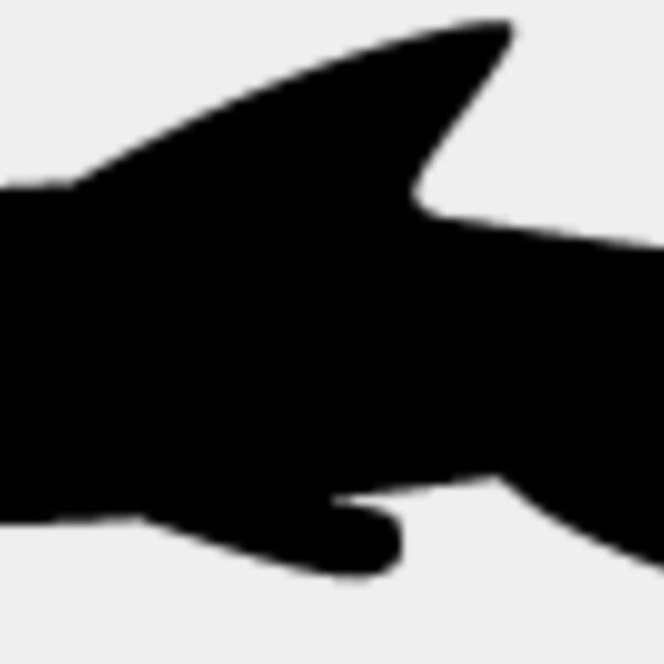 Fish Silhouette9 Thumbnail