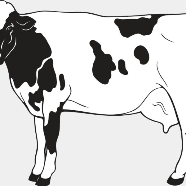 Cow6 Thumbnail