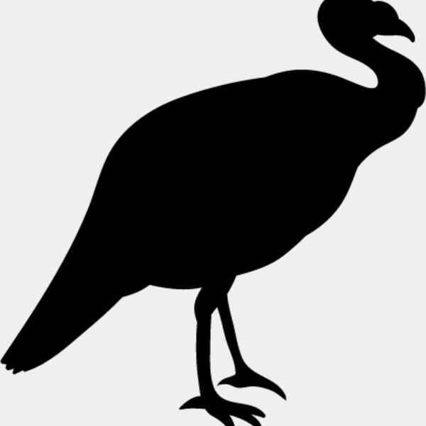 Wild Turkey1 Thumbnail