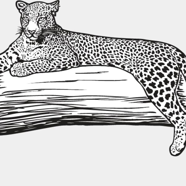 Leopard Thumbnail