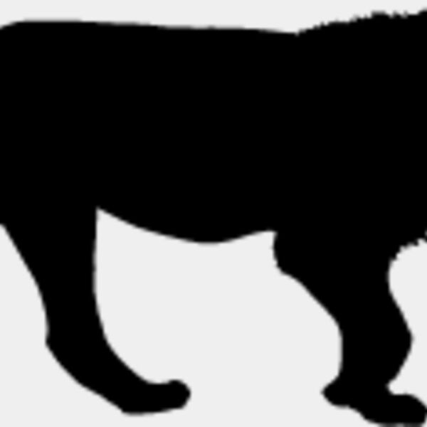 Big Cat  Tiger  Lion  Panther 15 Thumbnail