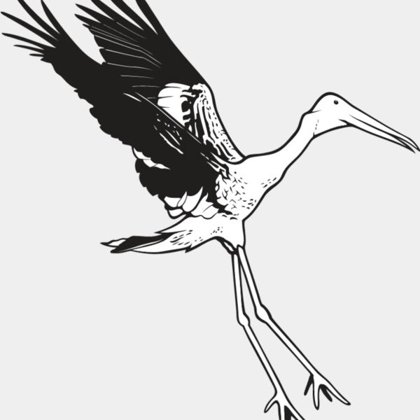 Stork Thumbnail