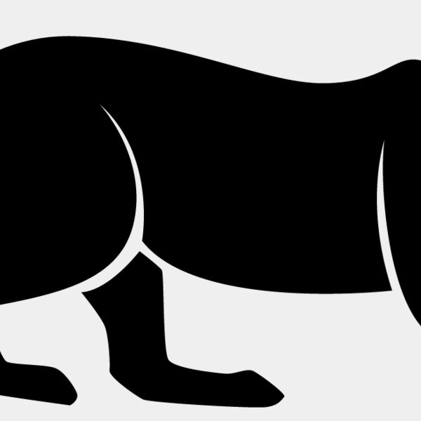 Big Cat  Tiger  Lion  Panther 9 Thumbnail