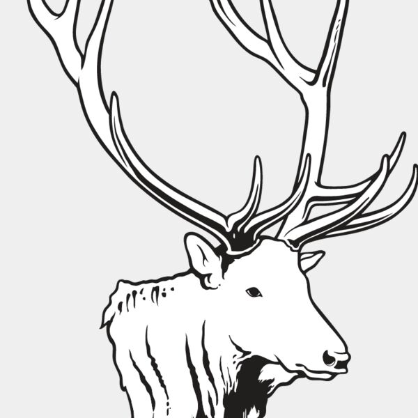 Elk1 Thumbnail