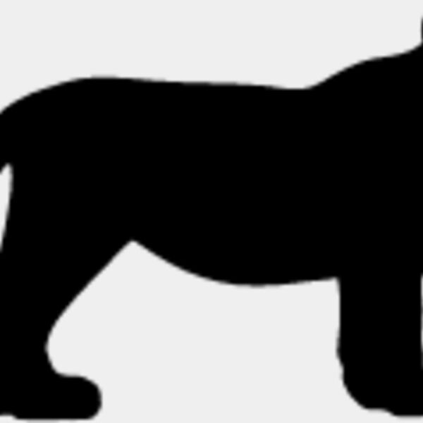 Big Cat  Tiger  Lion  Panther 18 Thumbnail