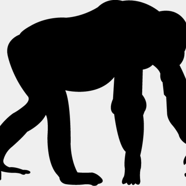 Monkey Silhouette5 Thumbnail