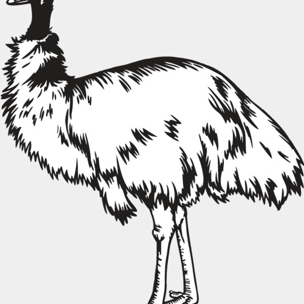 Emu Thumbnail