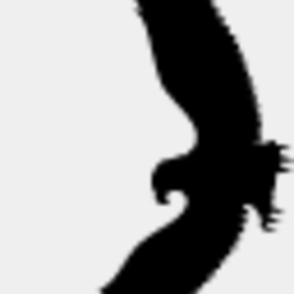 Flying Eagle Silhouette5 Thumbnail