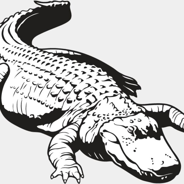Alligator1 Thumbnail