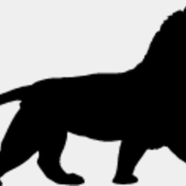 Big Cat  Tiger  Lion  Panther 20 Thumbnail