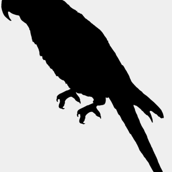 Parrot Silhouette4 Thumbnail