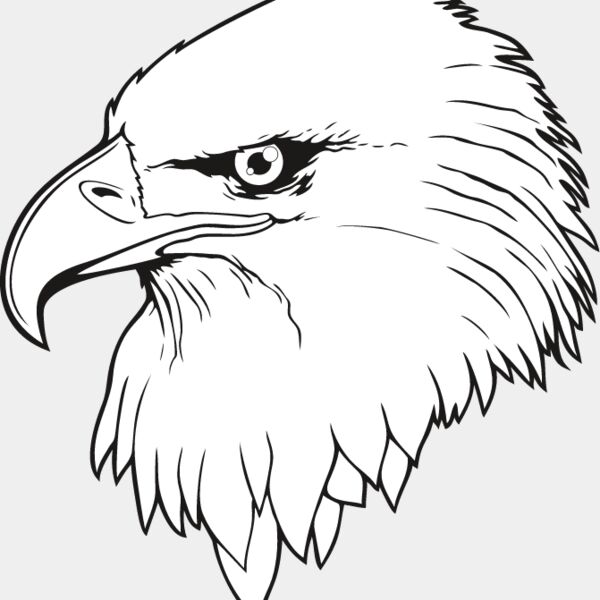 Eagle8 Thumbnail