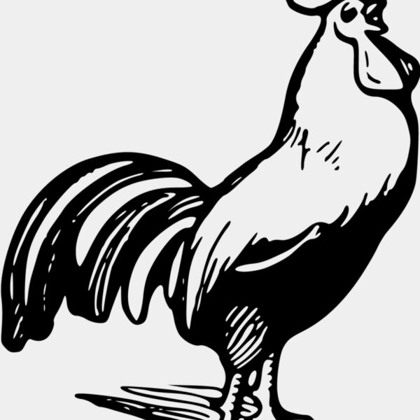 Rooster1 Thumbnail