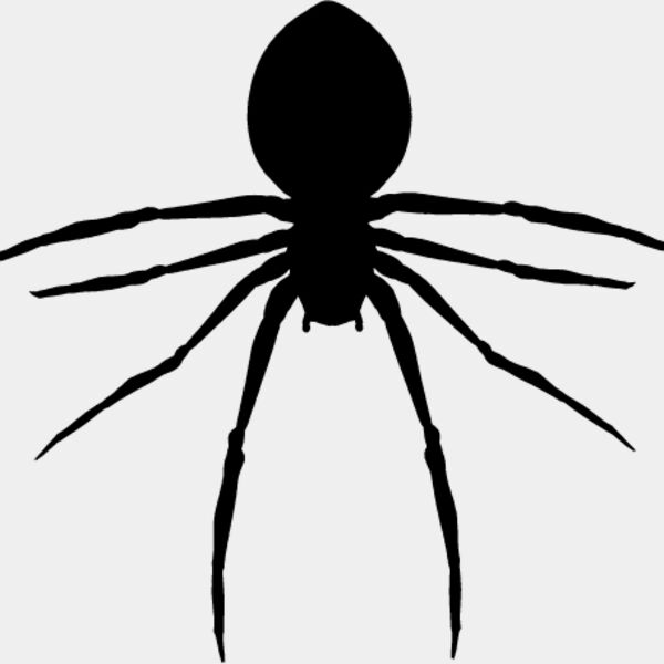Spider Silhouette10 Thumbnail