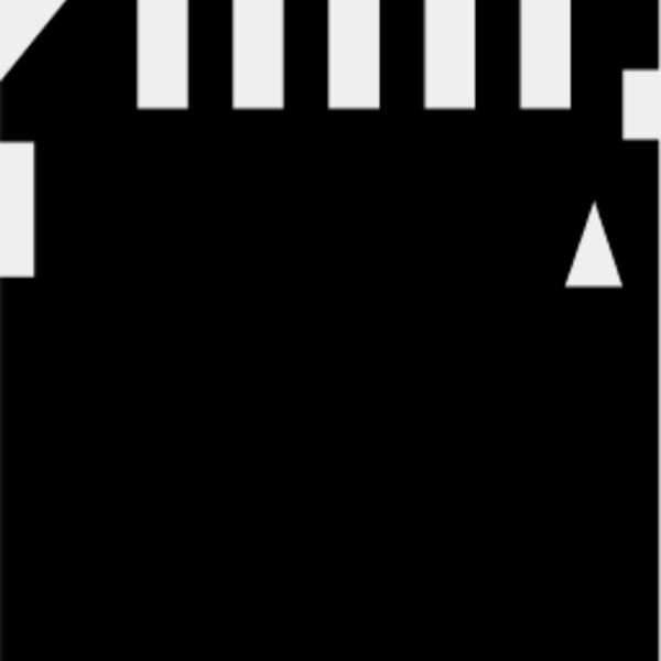 SD Memory Card Thumbnail