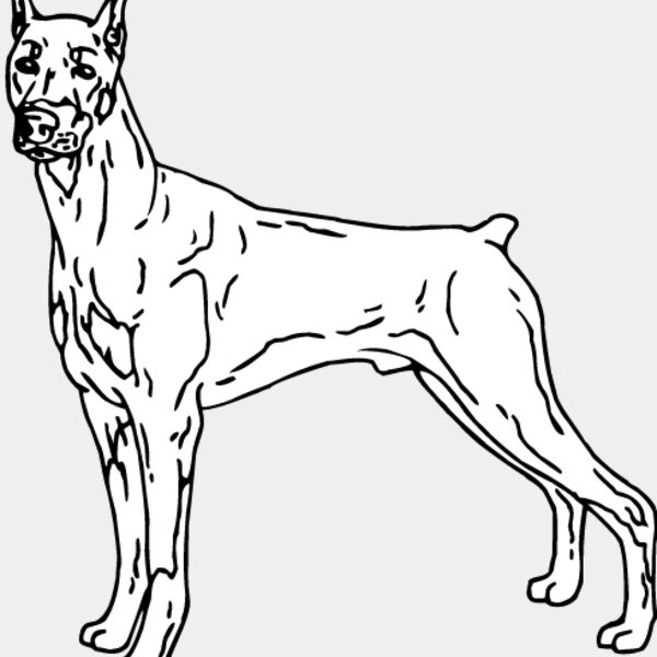 Doberman1 Thumbnail