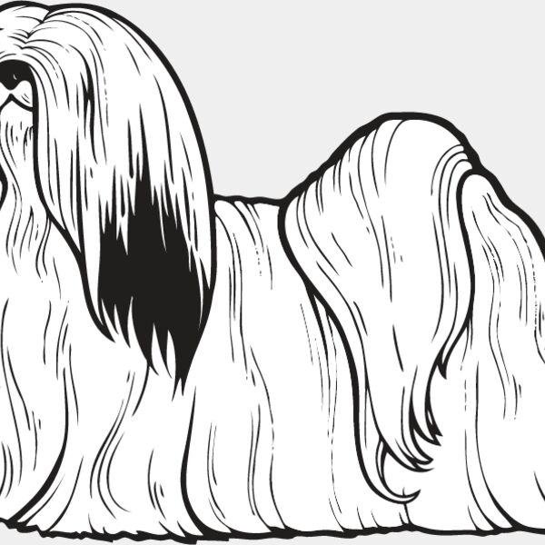 Lhasa Apso Thumbnail