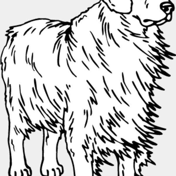 Golden Retriever1 Thumbnail