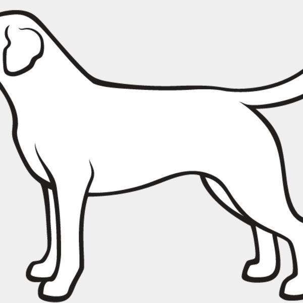 Labrador Retriever1 Thumbnail